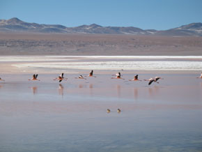 Laguna Colarada
