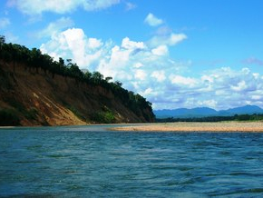 Madidi