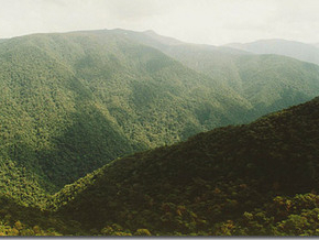 Reserva Natural Ulla Ulla
