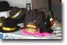 Sombreros en miniatura